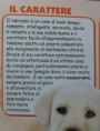 /album/vademecum/a20130418-105551-jpg/